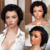 13X6 Deep Part Short Pixie Cut Wig Human Hair Glueless Lace Front Wig Full Frontal Lace Pixie Curly Wave Wigs for Women Daily Wear Preplucked (13X6 Lace Front Wig 180Density, 8inch) view 1
