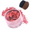 Face Blushes - Buildable Color Long Lasting,Powder Blush for Cheeks | for Traveling Business Trip Home Outdoor School Girlfriend Wife Friend Sister view 1