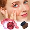 Face Blushes - Buildable Color Long Lasting,Powder Blush for Cheeks | for Traveling Business Trip Home Outdoor School Girlfriend Wife Friend Sister view 3