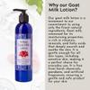 Artisan Goat Milk Lotion  Natural Moisturizing Body Lotion for Dry & Sensitive Skin  Hydrating Goat Milk Moisturizer for Eczema, Itching & Irritation  Chemical Free, Non-Toxic, Spa-Quality Skincare view 3