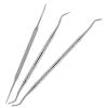 3 PCS Ingrown Toenail Removal Kit, Stainless Steel Toenail Cleaner Tool, Double Head Ingrown Nail Corrector Tool for Nail Cleaner Remove Dirt view 1