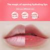 4PCS Strawberry & Bee Lip Balm Honey Pot, Vitamin E & Moisturizing Propolis Sleeping Lip Mask, Effective Reduces Lip Lines Prevention Dry and Cracked Scrubs Exfoliator Lip Wrinkle Care Product view 2
