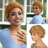 Elixano Blonde Afro Kinky Curly Wigs Human Hair for Women Breathable Real Hair Wig for Natural Look and Event Wear (Blonde 27#,5 Inch) view 1