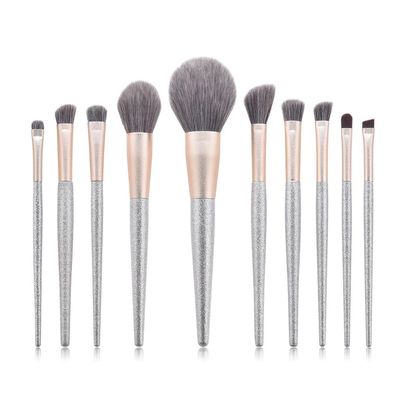 10 pieces of makeup brush set end silver powder blusher tools