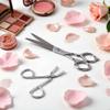 2Pcs Silver Stainless Steel Eyebrow Scissors Tweezers,Elbow Pliers Clip Scissors,Flat Tip Hair Plucker Hair Removal Tweezers, Shave and Hair Removal view 4