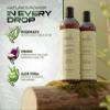 Antaby Natural Care Botanical Hair System  Shampoo & Hair Conditioner for Women and Men  Gentle SulfateFree Hair Shampoo + Conditioner for Dry Hair for Damaged Hair Repair and Color Treated view 3