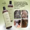 Antaby Natural Care Botanical Hair System  Shampoo & Hair Conditioner for Women and Men  Gentle SulfateFree Hair Shampoo + Conditioner for Dry Hair for Damaged Hair Repair and Color Treated view 4