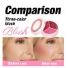Cheek Balm - Blendable Buildable Face Makeup Blusher | Blusher for Cheeks,for Dating Travel Evening Vacation Party Outdoor Gathering view 4
