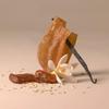 Being Frenshe Shea Butter with Jojoba and Radiance Oil for Dry Skin & Hair - Cashmere Vanilla - 4 fl oz view 4
