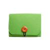 budebuse Travel Companion for Oil Bottles Aromatherapy Storage Carry Bag Essential Organiser Case Portable Essential Case, Green view 1