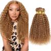 Color 27 Bundles Human Hair Honey Blonde Kinky Curly Bundles 18 20 22 Inch Brazilian Unprocessed Virgin Hair Extensions view 1