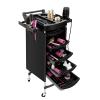 6 Tiers Salon Trolley, Salon Spa Trolley with Handle and 360 Swivel Rollers, Multi-Purpose Tool Cart with 5 Drawers and 2 Side Trays Mobile Storage Station Hairstylist Cart with Wheels for Beauty Spa view 1