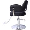 GOWE Salon Styling Chair for Hair Stylist Wide Seat, Hair Salon Chair Heavy Duty, Beauty Spa Cosmetology Shampoo Hairdressing Eq,Black,Round Base view 3