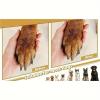 1pc Dog Nail File for Dogs, Scratch Square for Dogs Stress Free Nail File (Black) view 3