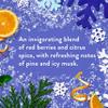 Native Holiday Limited Edition Alpine Air Moisturizing Shampoo and Conditioner - 16.5 fl oz - Pack Of 02 view 4