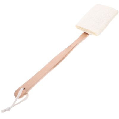 HAMPPLIES Long Handle Body Scrubber Bath Brush for Shower with Gentle Exfoliation and Skin Massage Back Scrubber for Deep Cleaning Reach Areas Reusable Natural Material Spa Tool
