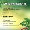 3PCS Moringa Oil For Dry Damaged Hair, Nourishes Scalp & Eyebrows, Reduces Breakage, Adds Shine & Softness view 4