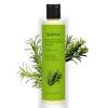 1PCSTgideasa Rosemary Hair Growth Shampoo,Upgraded New Tgideasa Organic Rosemary & Hydrolyzed Keratin Hair Growth Shampoo,Natural Anti-hair Loss shampoo for Women and Men,250ml/8.45floz (1PCS-A) view 1