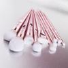 10pcs Makeup Brushes Foundation Blush Brush Set Beginner Beauty Tools view 2