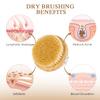 JingSoft Detachable Dry Brushing Body Brush, Natural Boar Bristle Back Scrubber for Shower for Men and Women with Long Handle for Exfoliation and Lymphatic view 4