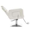360 Rotating Styling Chair, Barber Chair with 134 Tilt, Adjustable Headrest and Backrest, Hydraulic Salon Chair, for Hair Salons, Spa, Shampoo, Tattoo view 3
