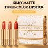 3-Piece Matte Lipstick Set  Nude and Trendy Shades, Soft Velvet Finish, Smudge-Proof, Moisturizing Formula, Easy Application | Lip Makeup for Women, Daily Use, Winter, Date, Party, Casual, Travel view 4
