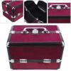 HAMPPLIES Large Capacity Aluminum Alloy Makeup Case Cosmetic Storage Box for Travel and Business Trips Lightweight Toiletry Organizer with Dual-open Design in Wine and Black Gift for Women view 3