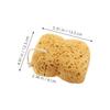 POPETPOP 2pcs Honeycomb Exfoliating Sponges Soft Pure Body Scrubber for Shower Gentle Skin Exfoliator Bath Sponge Suitable for Men and Women view 2