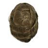 JUST HAIR Thin Skin Mens Toupee Human Hair Replacement V-looped Men Hair Piece 0.04mm Invisible Toupee for Men Hair System 8X10-80% density#7 Very Light Brown view 2