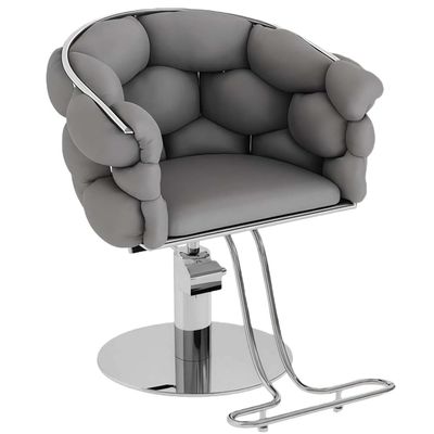Barber Chair with Heavy Duty Hydraulic Pump, Height Adjustable, 360 Rolling Swivel, Stainless Steel Frame, for Hair Stylist, Barbershop, Beauty Shop,Dark Gray,Silver Frame