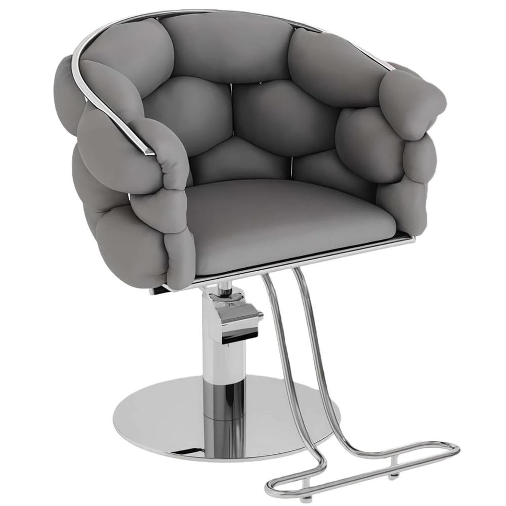 Barber Chair with Heavy Duty Hydraulic Pump, Height Adjustable, 360 Rolling Swivel, Stainless Steel Frame, for Hair Stylist, Barbershop, Beauty Shop,Dark Gray,Silver Frame