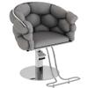 Barber Chair with Heavy Duty Hydraulic Pump, Height Adjustable, 360 Rolling Swivel, Stainless Steel Frame, for Hair Stylist, Barbershop, Beauty Shop,Dark Gray,Silver Frame view 1