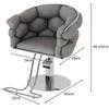 Barber Chair with Heavy Duty Hydraulic Pump, Height Adjustable, 360 Rolling Swivel, Stainless Steel Frame, for Hair Stylist, Barbershop, Beauty Shop,Dark Gray,Silver Frame view 2