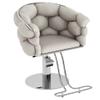 Barber Chair with Heavy Duty Hydraulic Pump, Height Adjustable, 360 Rolling Swivel, Stainless Steel Frame, for Hair Stylist, Barbershop, Beauty Shop,Light Gray,Silver Frame view 1