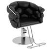 Barber Chair with Heavy Duty Hydraulic Pump, Height Adjustable, 360 Rolling Swivel, Stainless Steel Frame, for Hair Stylist, Barbershop, Beauty Shop,Black,Silver Frame view 1