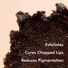 mCaffeine Coffee Lip Scrub Balm - 85% Reduction in Dark Lips & Pigmentation | Heals Dry & Chapped Lips | With Natural Sugar, Cold Pressed Coconut Oil & Coffee Scrub | 100% Vegan (12gm) view 4