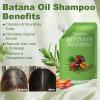 Tgideas Batana Oil & Rosemary Shampoo for Hair Growth, Sulfate-Free Formula to Reduce Hair Loss, Nourish Scalp & Add Volume, for Men & Women (Pack of 1) view 3