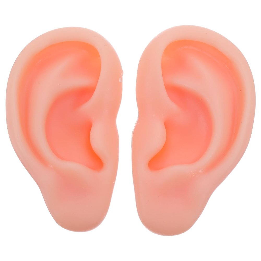 SOIMISS 1 Pair Silicone Ear Model: Soft Fake Acupuncture Practice Mannequin Realistic Ear Mold For Training Piercing Practice Earring Showcase Displays