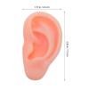 SOIMISS 1 Pair Silicone Ear Model: Soft Fake Acupuncture Practice Mannequin Realistic Ear Mold For Training Piercing Practice Earring Showcase Displays view 2