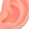SOIMISS 1 Pair Silicone Ear Model: Soft Fake Acupuncture Practice Mannequin Realistic Ear Mold For Training Piercing Practice Earring Showcase Displays view 3