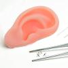 SOIMISS 1 Pair Silicone Ear Model: Soft Fake Acupuncture Practice Mannequin Realistic Ear Mold For Training Piercing Practice Earring Showcase Displays view 4