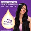 Advansed Rosemary-enriched Coconut Hair Oil| Rosemary Hair Oil| Superfoods Magic| Long & Thick Hair|300 Ml view 2