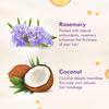 Advansed Rosemary-enriched Coconut Hair Oil| Rosemary Hair Oil| Superfoods Magic| Long & Thick Hair|300 Ml view 3