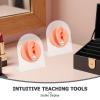 SOIMISS 1 Pair Simulated Ear Model: Piercing Practice Silicone Ear Model - Realistic Left & Right Body Part With Holder For Demo Art Teaching view 3