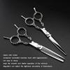 6.0 Inch Professional Hair Scissor Set: Hair Cutting Scissors & Thinning Shears, Barber Haircutting Tool view 2