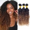 T1B/2/30 Chestnut Brown Ombre Water Wave Human Hair Bundles Virgin Brazilian Water Wave Curly Bundles 12A Wet And Wavy Bundles Human Hair Deep Water Wave Bundles Human Hair Extensions 12 14 16 Inch view 1