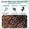 T1B/2/30 Chestnut Brown Ombre Water Wave Human Hair Bundles Virgin Brazilian Water Wave Curly Bundles 12A Wet And Wavy Bundles Human Hair Deep Water Wave Bundles Human Hair Extensions 12 14 16 Inch view 4