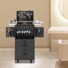 CHINEGER Professional Makeup Case Trolley Portable Rolling Cosmetic Train Cases Lockable Nail Cart Hair Tool Organizer with 4 Wheels & 2 Drawers for Barber, Beauty, Tattoo, Nail Salon (Black) view 3