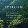 ametsuchi Daily Shampoo and Conditioner Set view 4