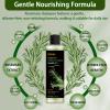 New 2026 Organic Rosemary Hair Growth Shampoo, Rosemary Hydrolyzed Keratin Shampoo - Volumizing, Sulfate-Free,for Thinning Hair & Hair Loss,Nourishes and repairs hair strands,Unisex Formula view 3